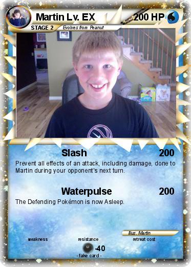 Pokemon Martin Lv. EX