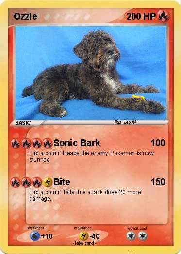 Pokemon Ozzie