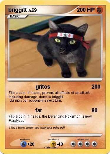 Pokemon briggitt