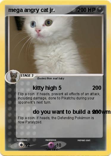 Pokemon mega angry cat jr.