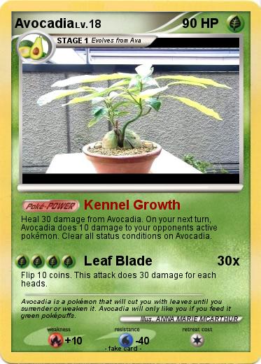 Pokemon Avocadia