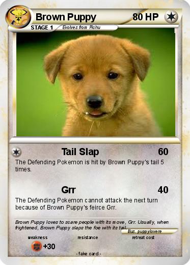 Pokemon Brown Puppy