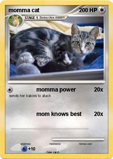 Pokemon momma cat