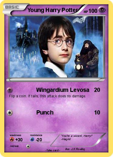 Pokemon Young Harry Potter