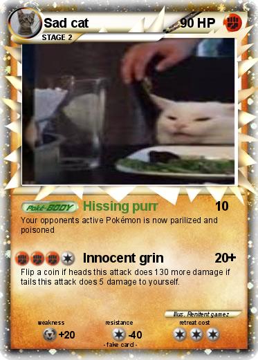 Pokemon Sad cat