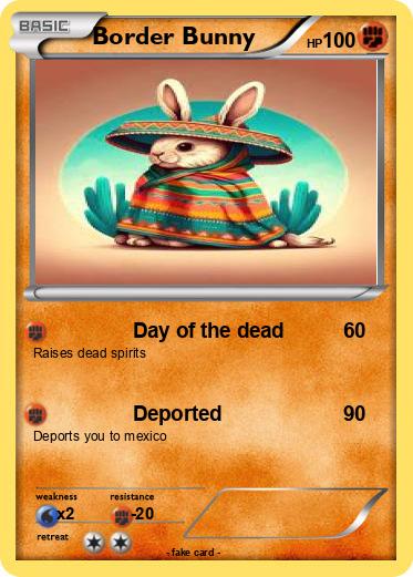 Pokemon Border Bunny