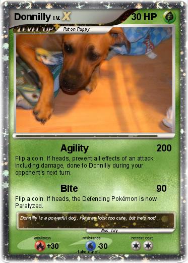 Pokemon Donnilly