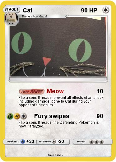 Pokemon Cat