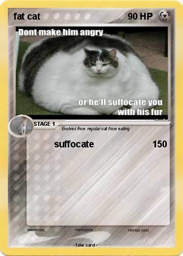 Pokemon fat cat
