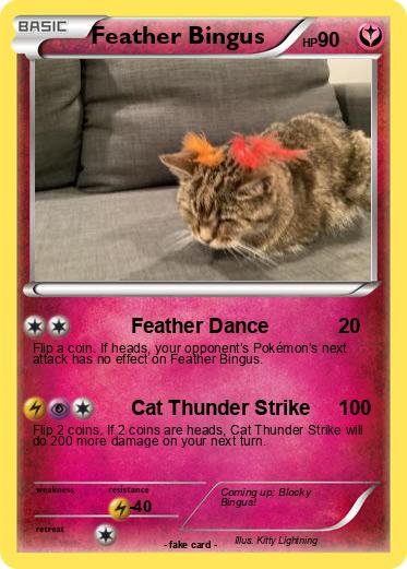 Pokemon Feather Bingus