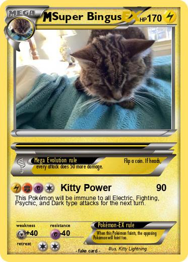 Pokemon Super Bingus