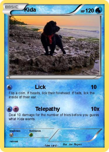 Pokemon Kida