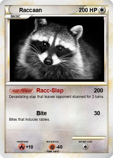 Pokemon Raccaan