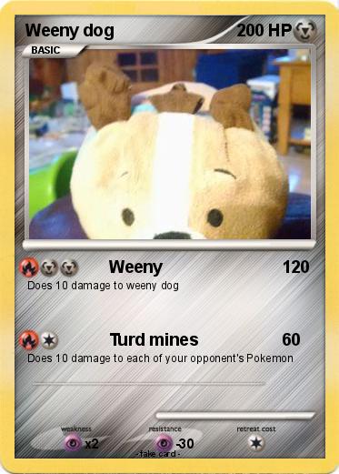 Pokemon Weeny dog