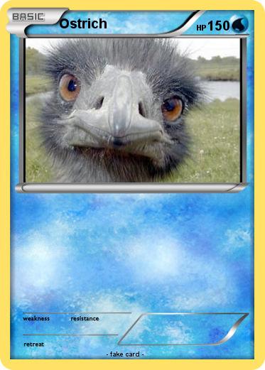 Pokemon Ostrich