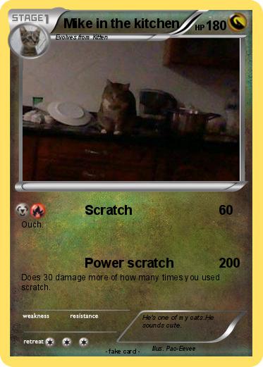 Pokemon Mike in the kitchen