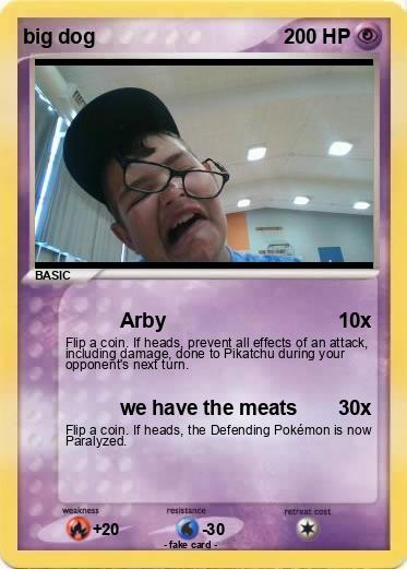 Pokemon big dog