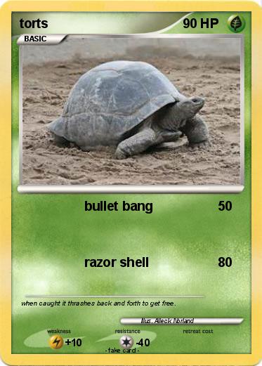 Pokemon torts