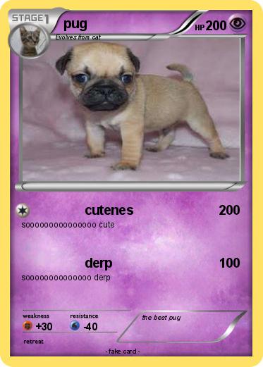 Pokemon pug