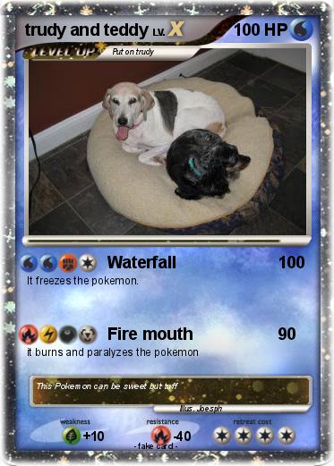 Pokemon trudy and teddy