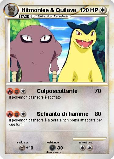 Pokemon Hitmonlee & Quilava