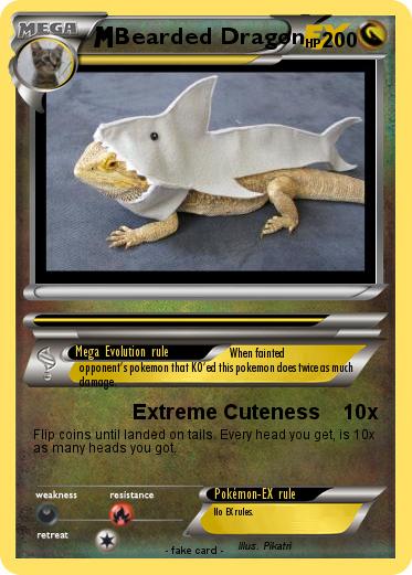 Pokemon Bearded Dragon