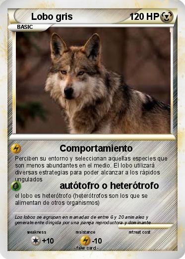 Pokemon Lobo gris