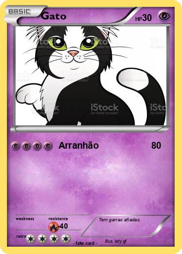 Pokemon Gato