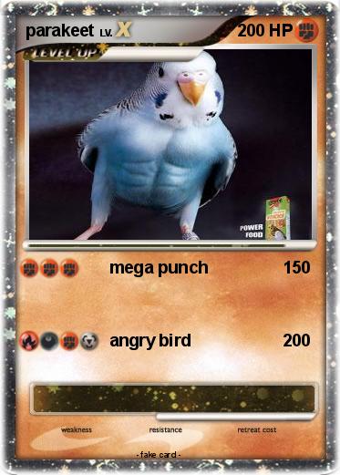 Pokemon parakeet