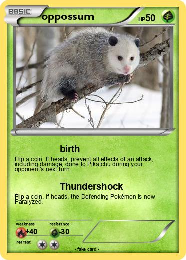 Pokemon oppossum