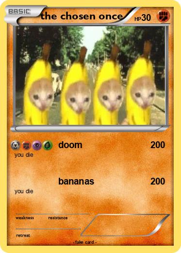 Pokemon the chosen once