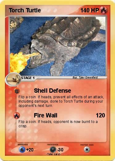 Pokemon Torch Turtle