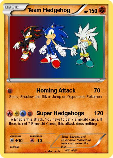 Pokemon Team Hedgehog