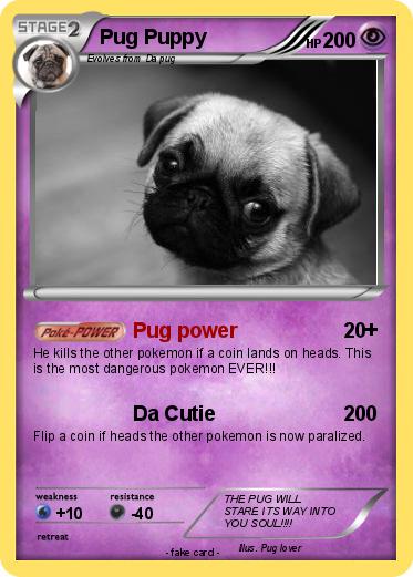 Pokemon Pug Puppy