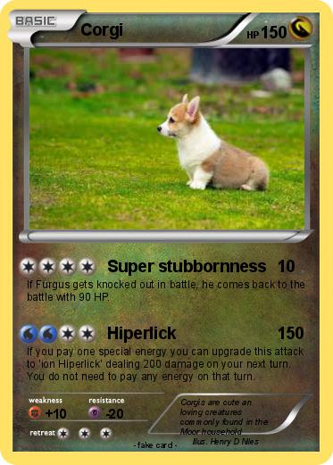 Pokemon Corgi