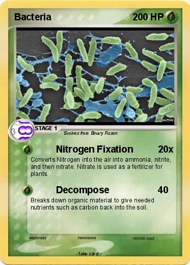 Pokemon Bacteria