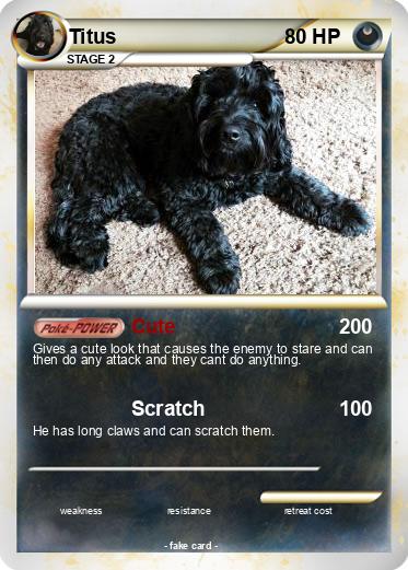 Pokemon Titus