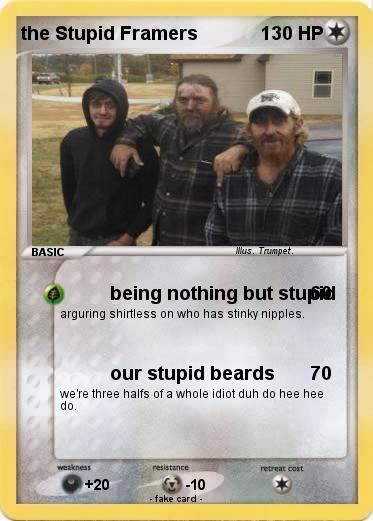 Pokemon the Stupid Framers