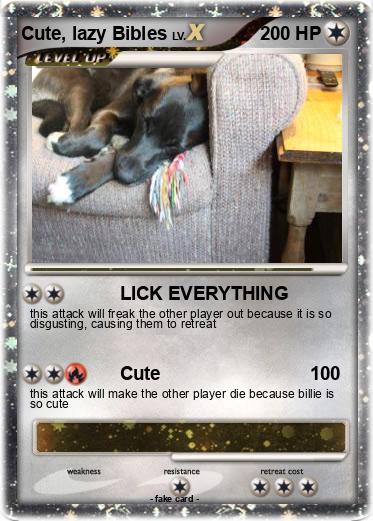 Pokemon Cute, lazy Bibles