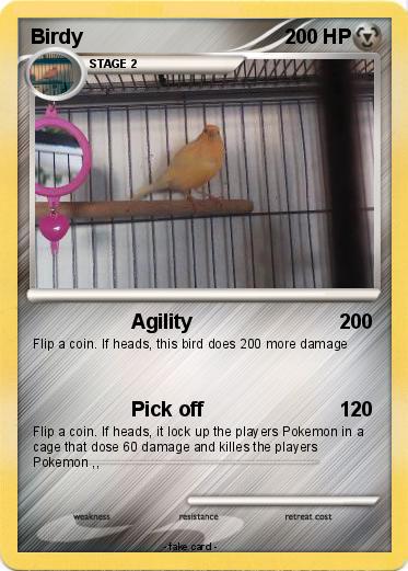 Pokemon Birdy