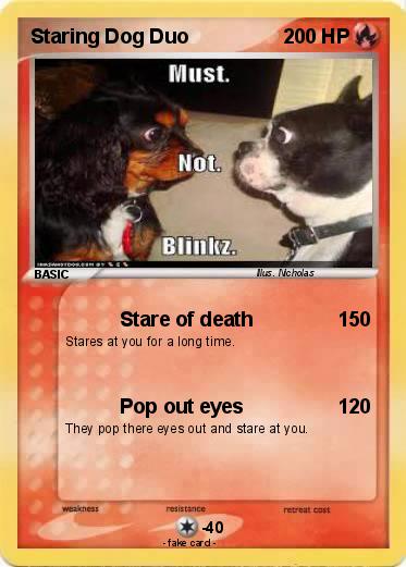 Pokemon Staring Dog Duo
