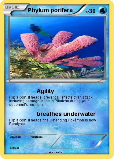 Pokemon Phylum porifera