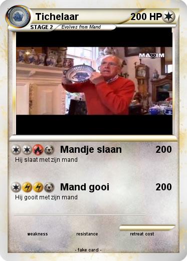 Pokemon Tichelaar