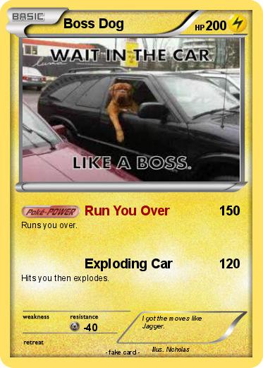 Pokemon Boss Dog