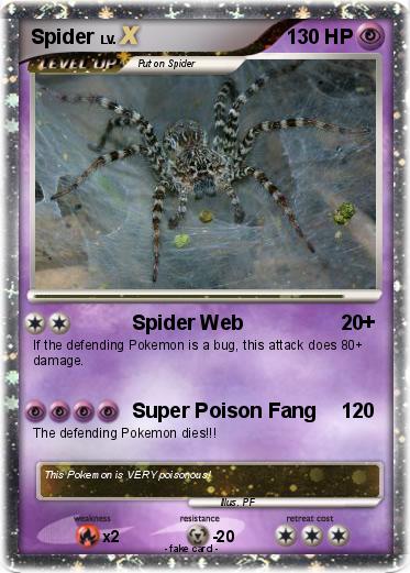 Pokemon Spider
