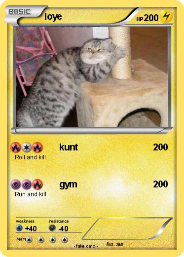 Pokemon loye