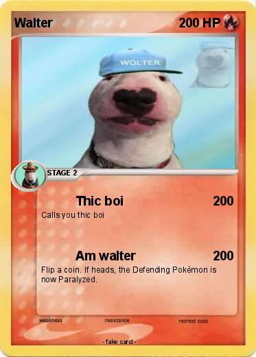 Pokemon Walter