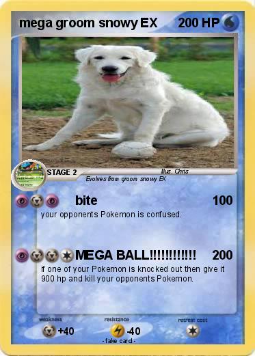 Pokemon mega groom snowy EX