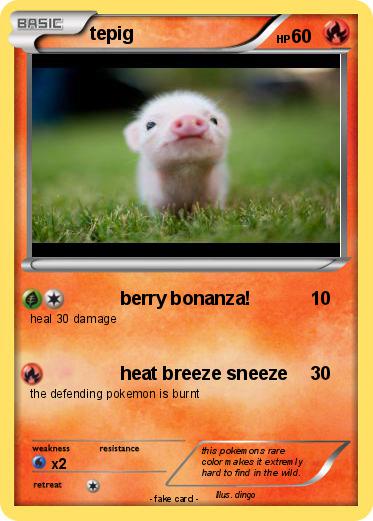 Pokemon tepig
