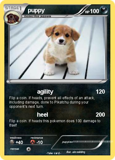 Pokemon puppy